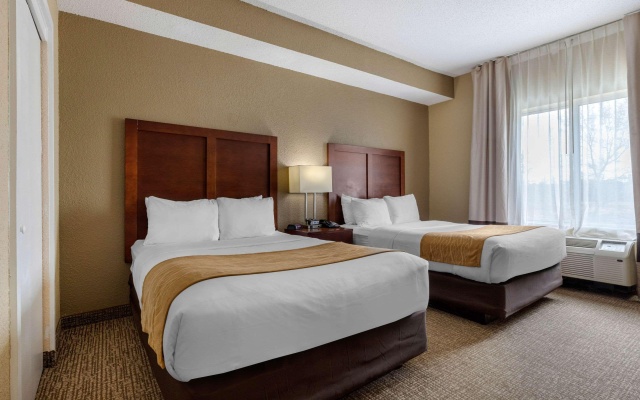 photo 5 of Comfort Inn & Suites Camden