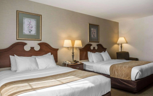 photo 4 of Comfort Inn & Suites East Greenbush - Albany