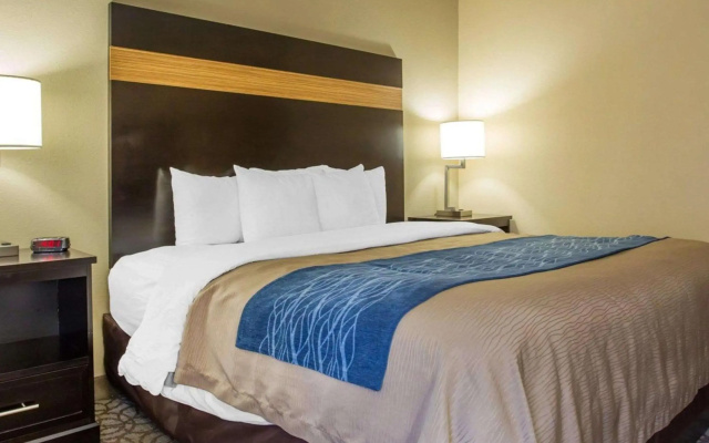 photo 3 of Comfort Inn & Suites at Stone Mountain