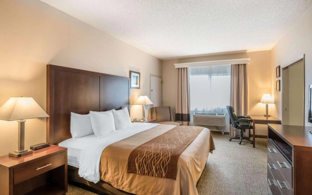 photo 4 of Comfort Inn & Suites Seattle North