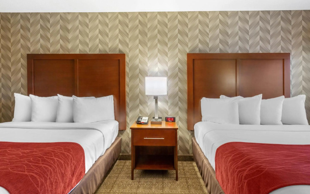 photo 3 of Comfort Inn & Suites Logan International Airport
