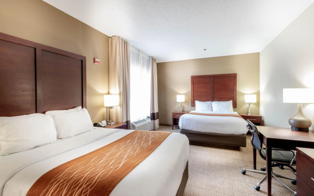 photo 3 of Comfort Inn & Suites Love Field - Dallas Market Center