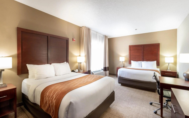 photo 4 of Comfort Inn & Suites Love Field - Dallas Market Center
