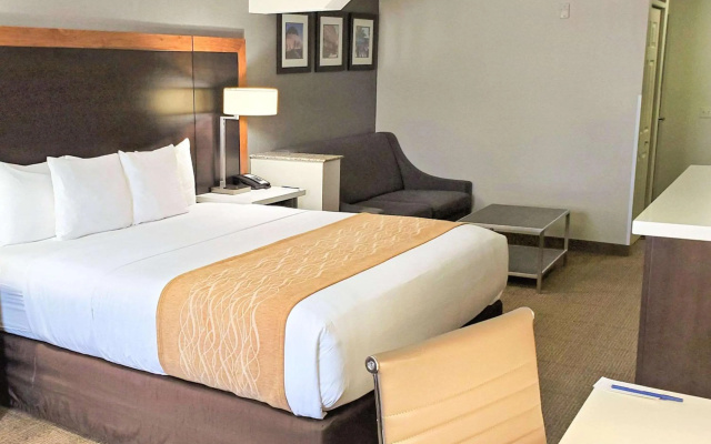 photo 3 of Comfort Inn & Suites Near Universal - N. Hollywood - Burbank