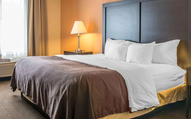 photo 4 of Quality Inn & Suites Niles