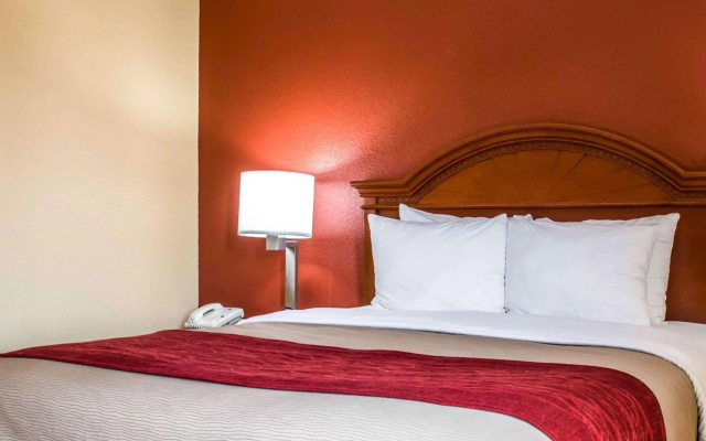 photo 4 of Comfort Inn & Suites