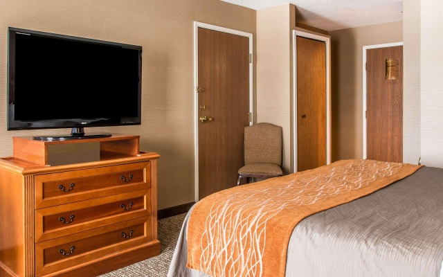 photo 5 of Hampton Inn by Hilton Chelsea