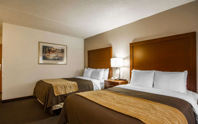 photo 4 of Comfort Inn & Suites Madison - Airport