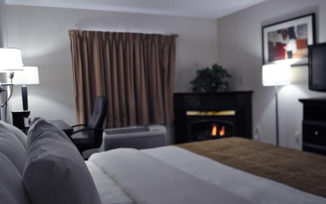 photo 4 of Comfort Inn