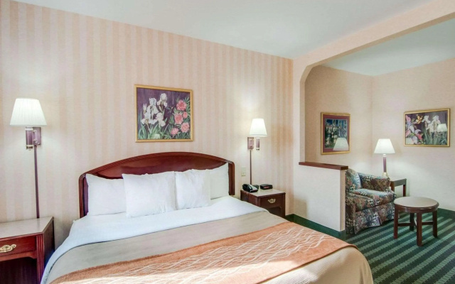 photo 3 of Comfort Inn Airport