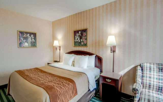 photo 4 of Comfort Inn Airport