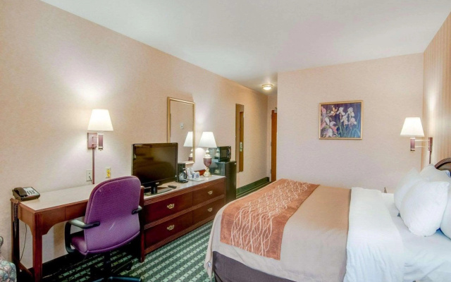 photo 5 of Comfort Inn Airport