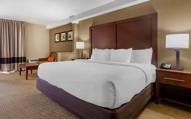 photo 4 of Comfort Inn & Suites near Danville Mall