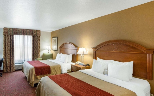 photo 4 of Comfort Inn & Suites Near Medical Center