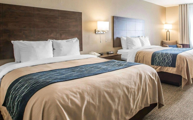 photo 3 of Comfort Inn & Suites Waterloo - Cedar Falls