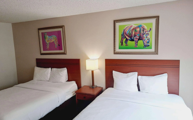 photo 2 of Comfort Inn at the Zoo