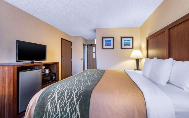 photo 4 of Comfort Inn & Suites Bothell - Seattle North