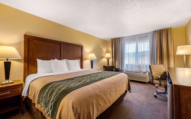 photo 5 of Comfort Inn & Suites Bothell - Seattle North