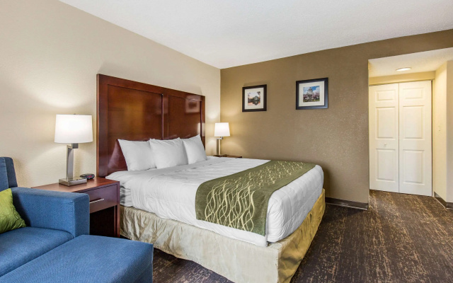 photo 4 of Comfort Inn College Park North