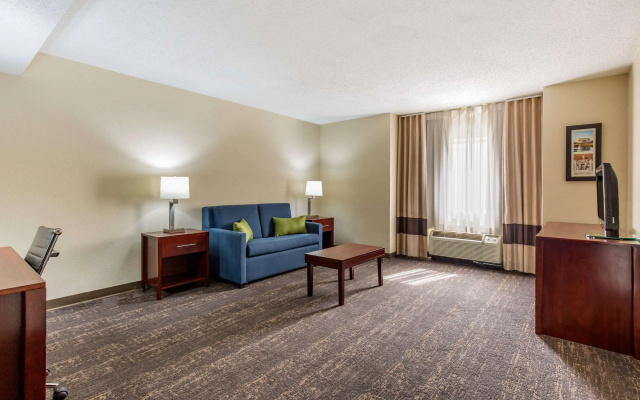 photo 5 of Comfort Inn College Park North