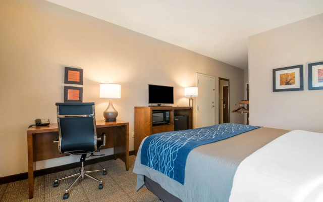 photo 4 of Comfort Inn Concord South End