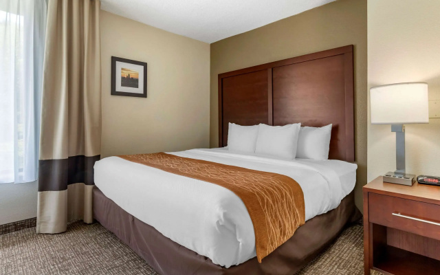 photo 3 of Comfort Inn Charlotte Airport Uptown