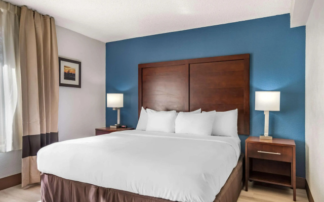 photo 4 of Comfort Inn Charlotte Airport Uptown