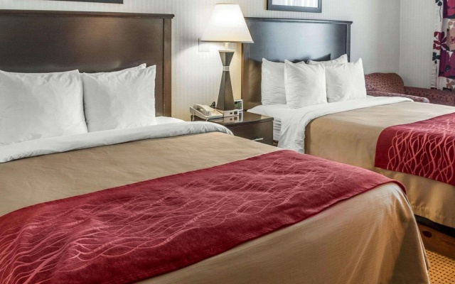 photo 5 of Quality Inn & Suites Farmington