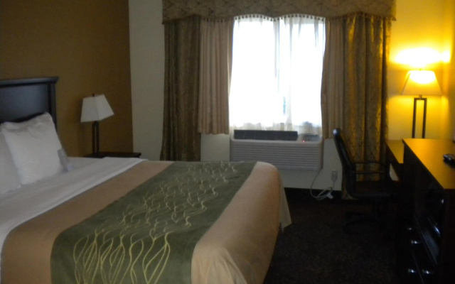 photo 3 of Comfort Inn Federal Way - Seattle