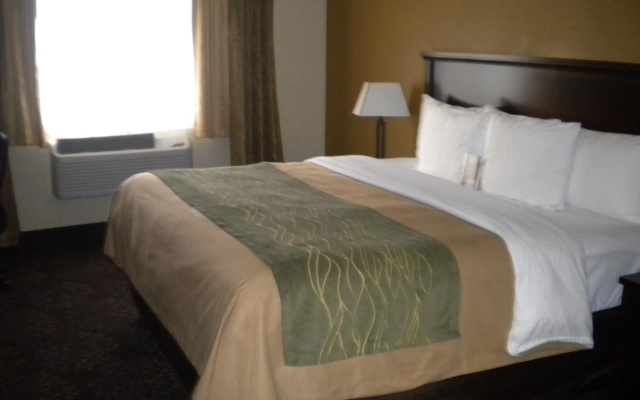 photo 4 of Comfort Inn Federal Way - Seattle