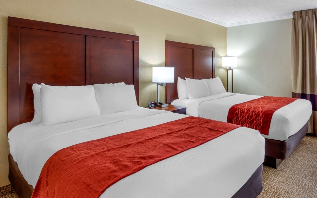photo 5 of Comfort Inn Hoffman Estates - Schaumburg