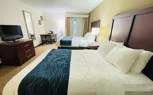 photo 3 of Comfort Inn Downtown - University Area