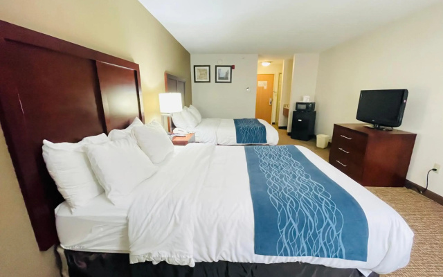 photo 4 of Comfort Inn Downtown - University Area