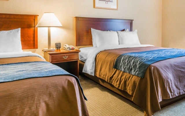photo 5 of Comfort Inn