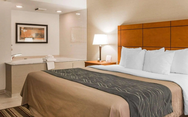 photo 5 of Comfort Inn Metro Airport