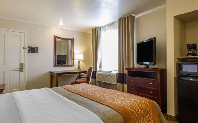 photo 4 of Blu Pacific Hotel