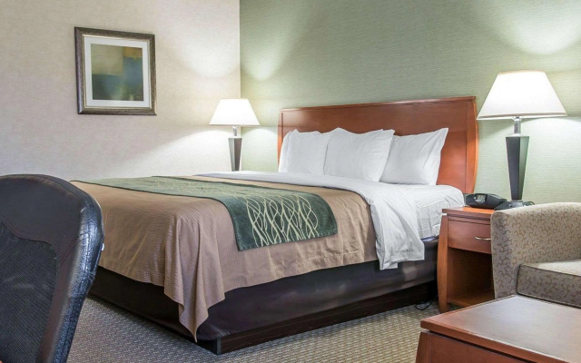 photo 4 of Comfort Inn Near Greenfield Village