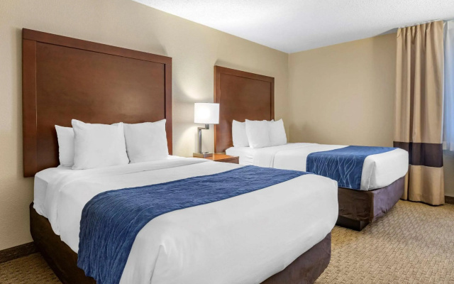 photo 5 of Comfort Inn Near Greenfield Village