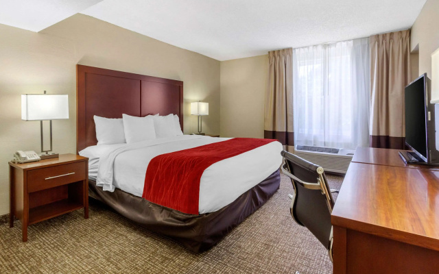 photo 3 of Comfort Inn St Petersburg North