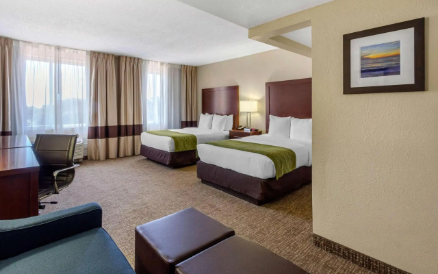photo 4 of Comfort Inn St Petersburg North