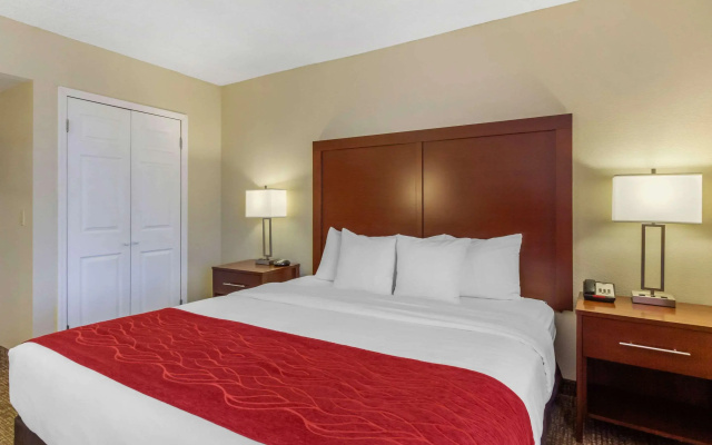 photo 5 of Comfort Inn St Petersburg North