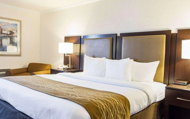 photo 3 of Comfort Inn Oceanside Deerfield Beach