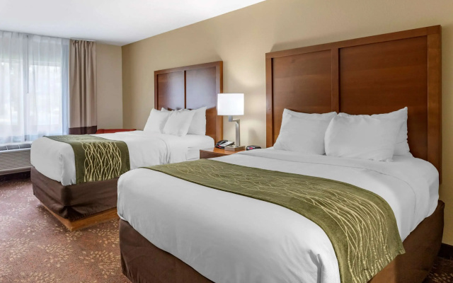 photo 4 of Comfort Inn Okemos - East Lansing