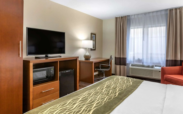 photo 5 of Comfort Inn Okemos - East Lansing