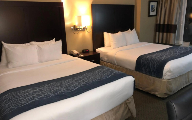 photo 3 of Comfort Inn Pentagon City