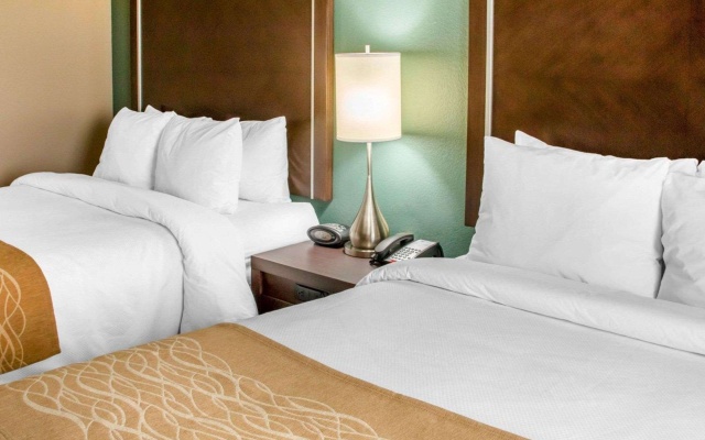 photo 4 of Comfort Inn & Suites San Marcos near Outlet Mall