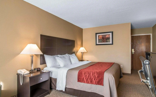 photo 3 of Comfort Inn Saugerties