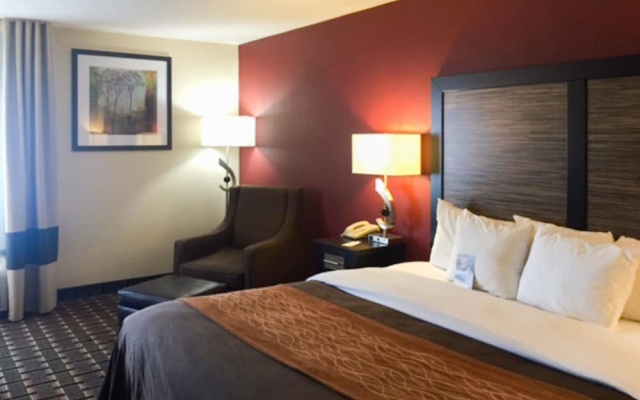 photo 4 of Comfort Inn Edmund Pettus Bridge area
