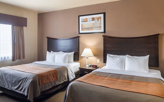 photo 3 of Comfort Inn Stanton
