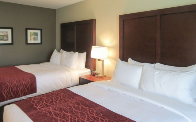 photo 3 of Comfort Inn & Suites Gap Amish Country
